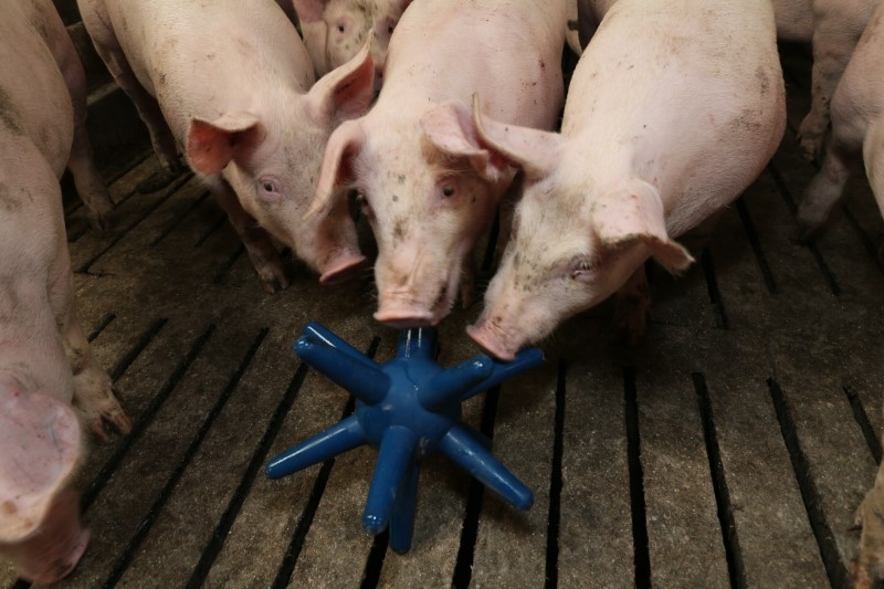 Spieligel LUNA 117 blau