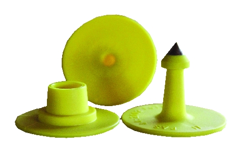 Allflex Ferkelohrmarken - blanko (20 Stück)