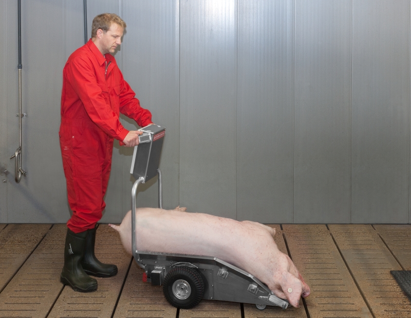 Porky's Pick Up