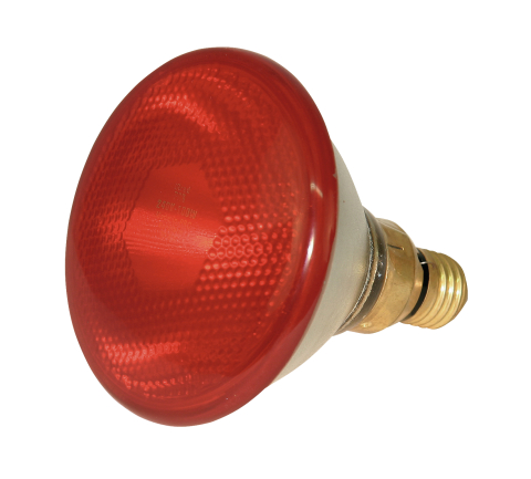 Infrarot Sparlampe 100 Watt rot
