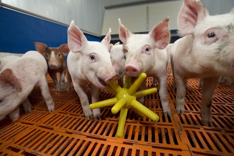 Spieligel LUNA  86 gelb