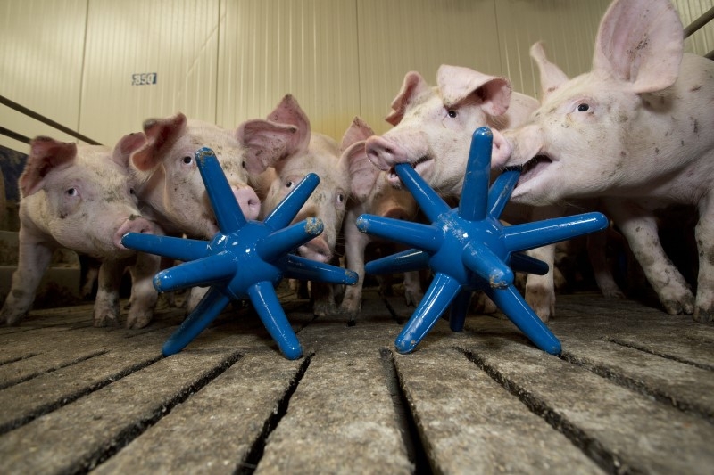 Spieligel LUNA 117 blau