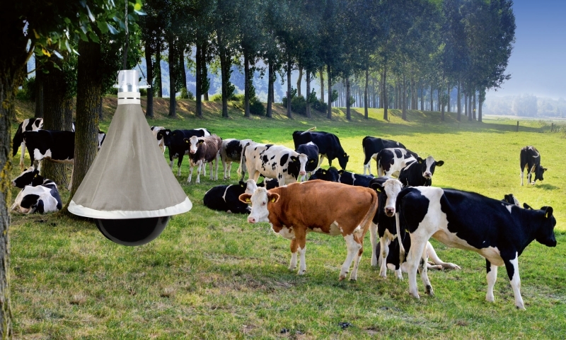 Taon-X Bremsenfalle Eco