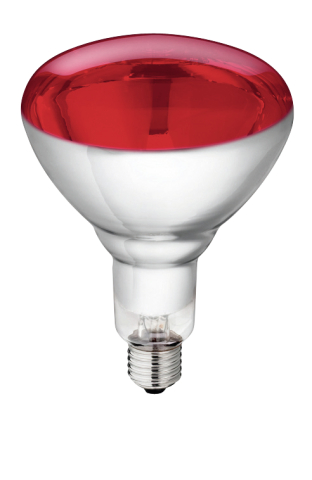 Hartglas-Infrarotlampen Philips - rot 250 W
